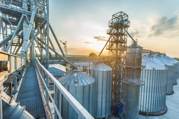 EN590 Automotive Diesel